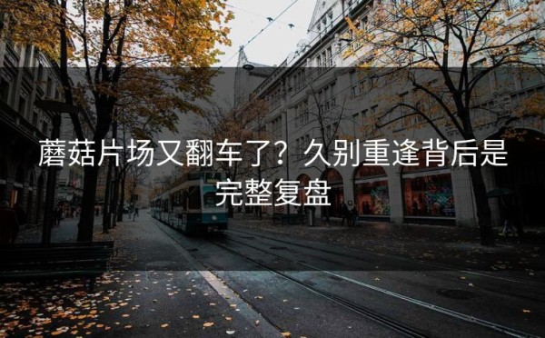 蘑菇片场又翻车了？久别重逢背后是完整复盘
