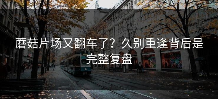 蘑菇片场又翻车了？久别重逢背后是完整复盘